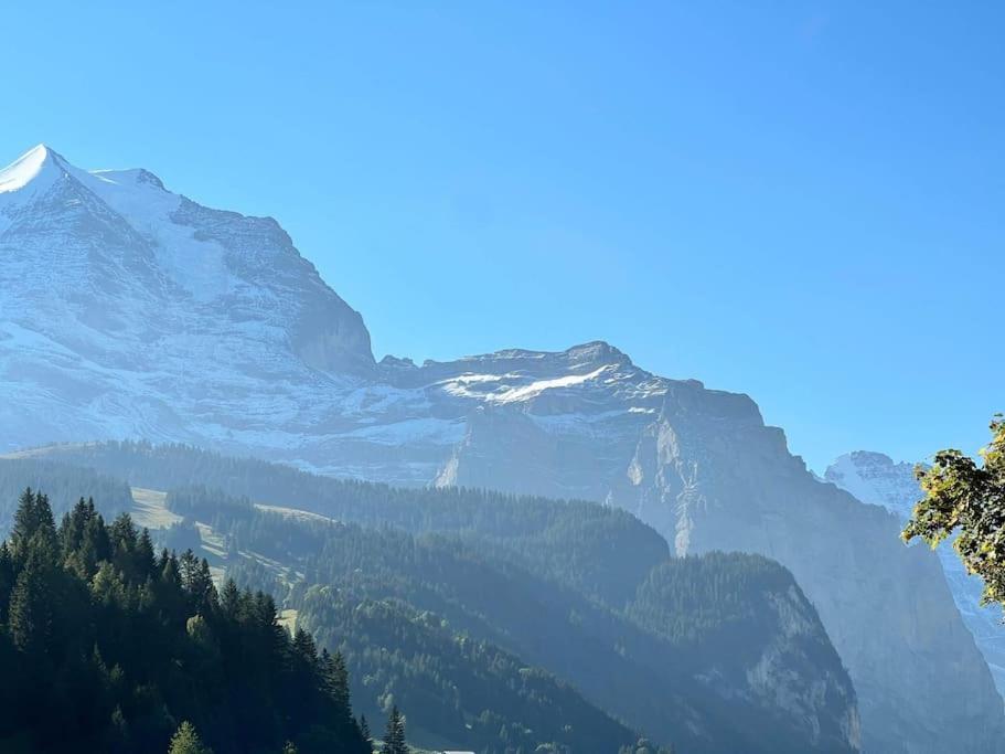 Wengen Apartment - Amazing Views, Centrally Located By Train Station 外观 照片