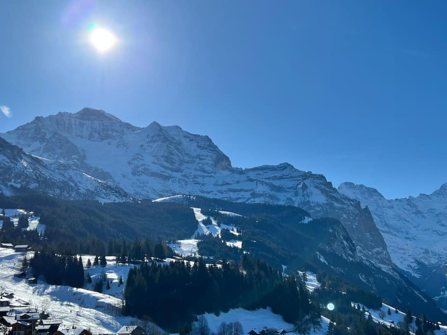 Wengen Apartment - Amazing Views, Centrally Located By Train Station 外观 照片