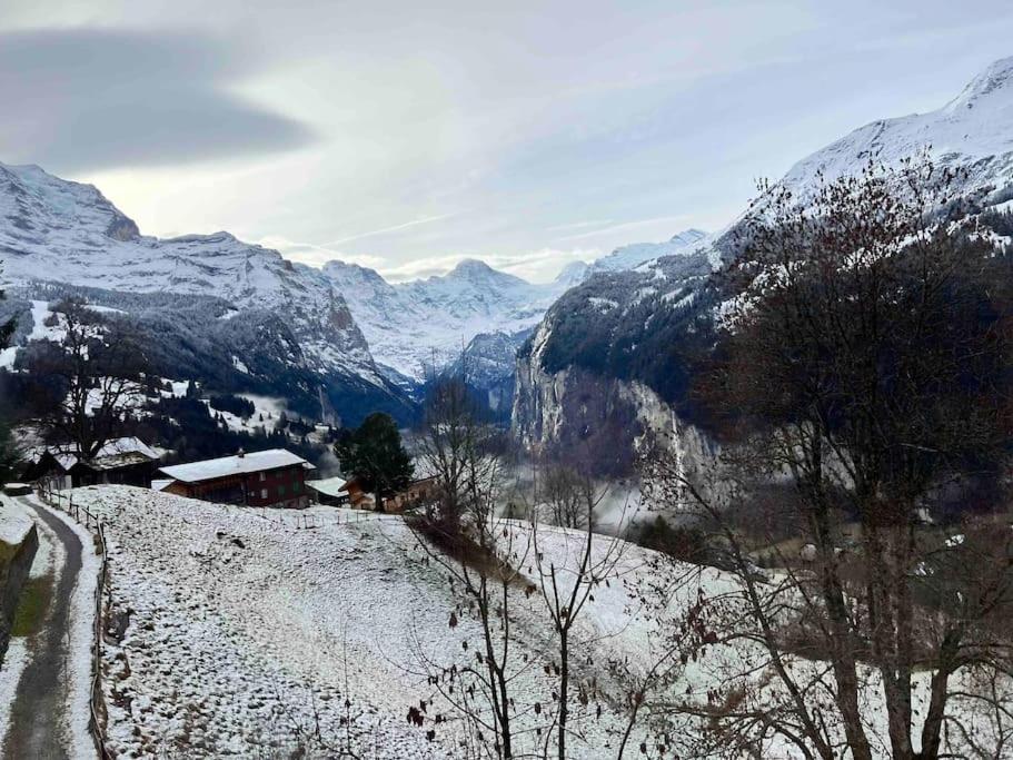 Wengen Apartment - Amazing Views, Centrally Located By Train Station 外观 照片