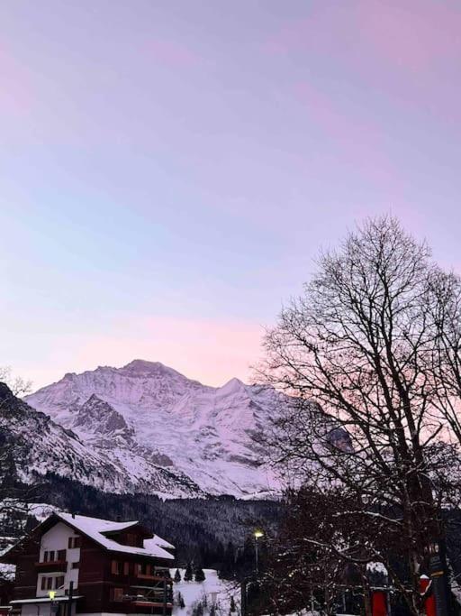 Wengen Apartment - Amazing Views, Centrally Located By Train Station 外观 照片