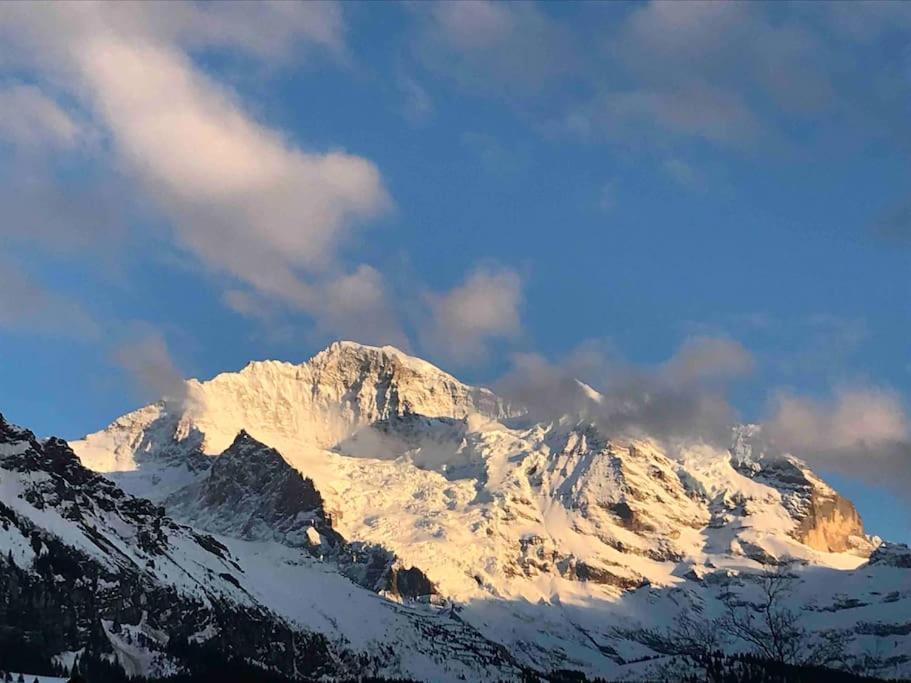 Wengen Apartment - Amazing Views, Centrally Located By Train Station 外观 照片