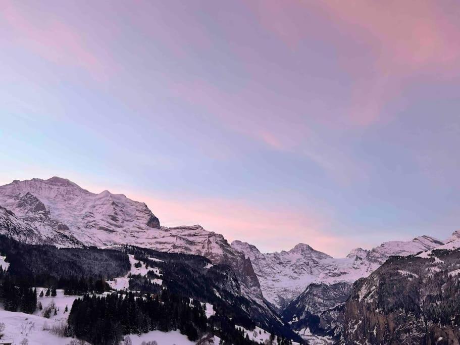 Wengen Apartment - Amazing Views, Centrally Located By Train Station 外观 照片